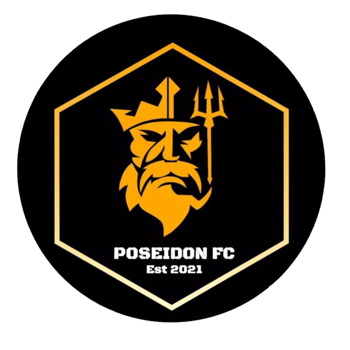 POSEIDON